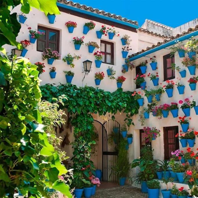 Appartement Cordvba Osario Centro