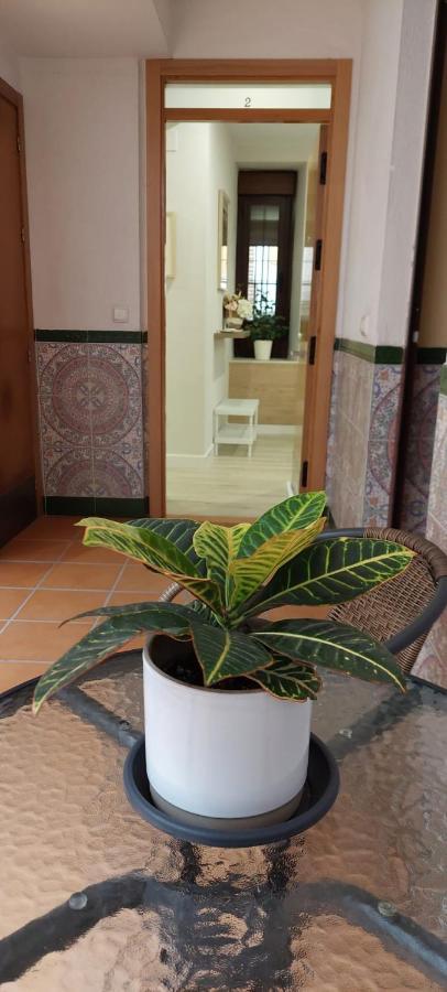 Appartement Cordvba Osario Centro